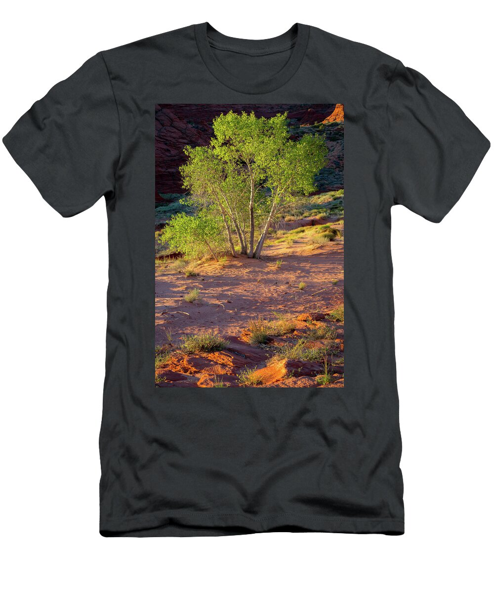 2 Coyote Buttes North Jon Manjeot T-Shirt