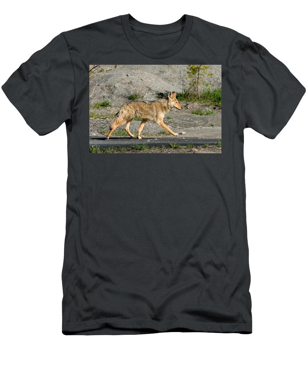 Coyote Walking Les Classics T-Shirt