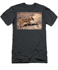 Death Valley Coyote Mike Dawson T-Shirt