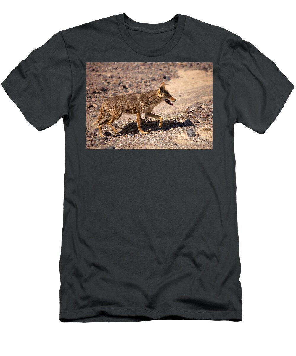 Death Valley Coyote Mike Dawson T-Shirt