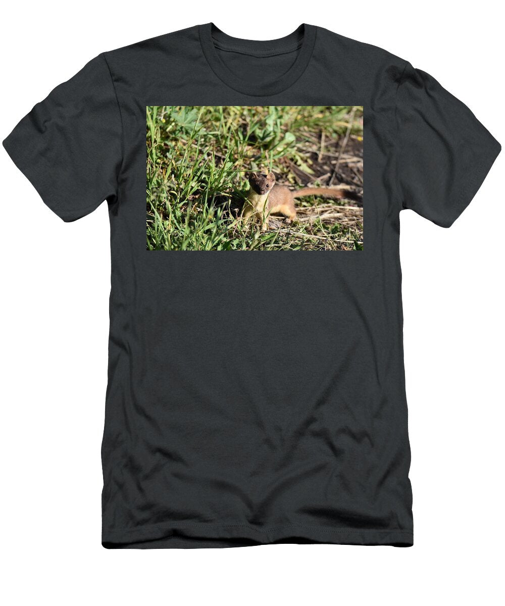 Ferret Stare Stephen Adgate T-Shirt