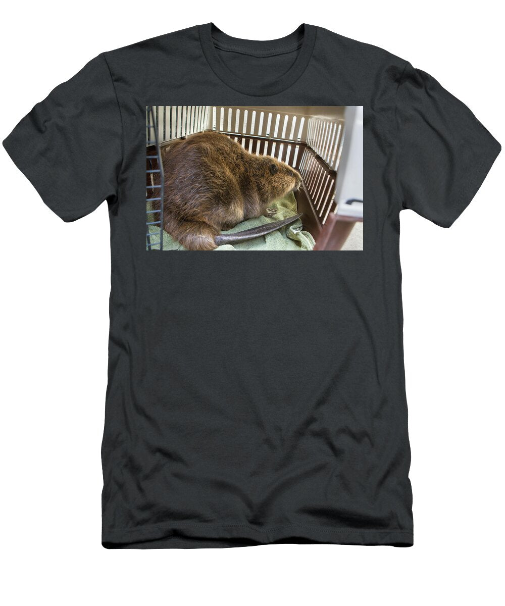 North American Beaver in Cage Following Rescue From a Suzi Eszterhas Natureplcom T-Shirt