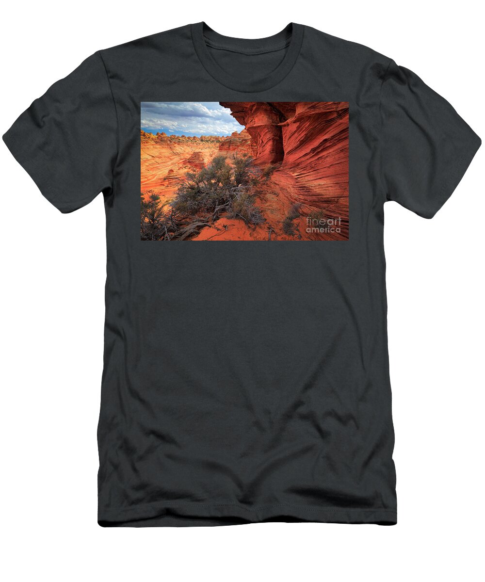South Coyote Buttes Grand View Inge Johnsson T-Shirt