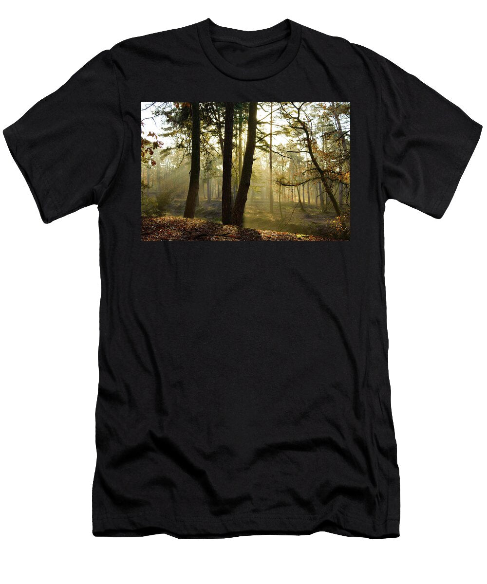 Sunlight Coming Through Trees in Woods Johan Ferret T-Shirt