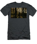 Sunlight Peeking Through Tall Trees in Forest Johan Ferret T-Shirt