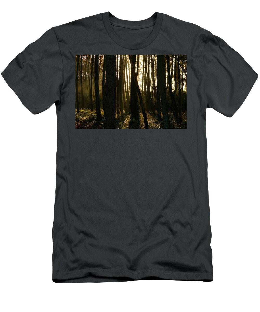 Sunlight Peeking Through Tall Trees in Forest Johan Ferret T-Shirt