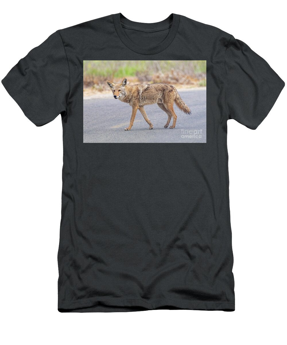 Wile E Coyote Michael Dawson T-Shirt